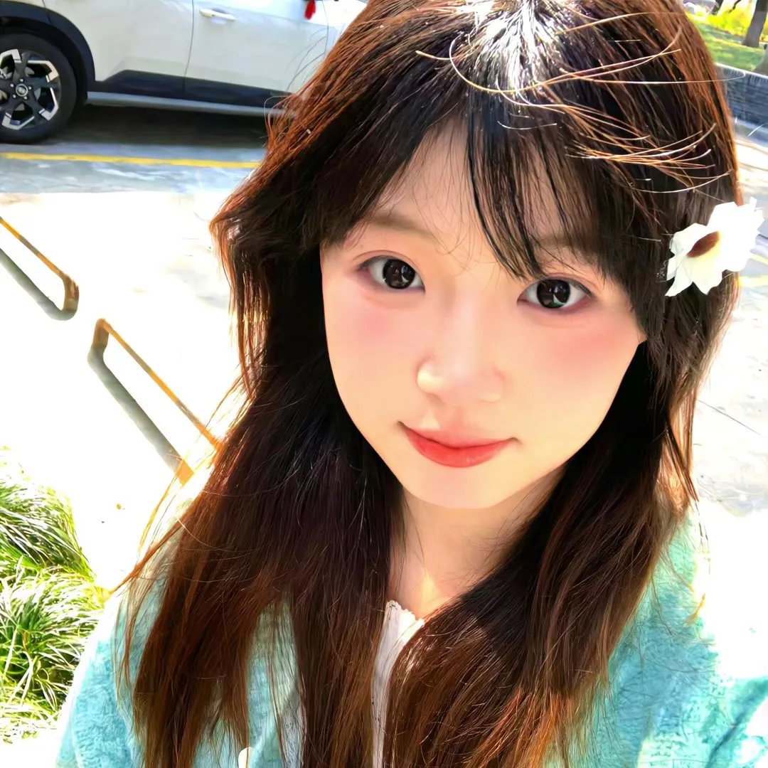 狮子、爱、谎言